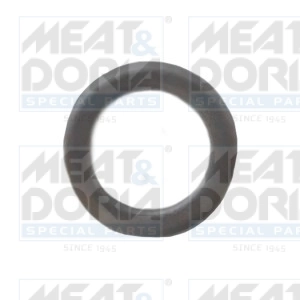 Seal Ring, injector